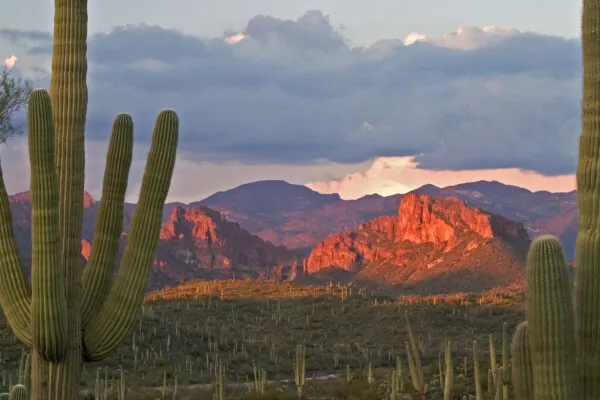 Experience Arizona From A Different Point Of View With Arizona Dude Ranch Vacations