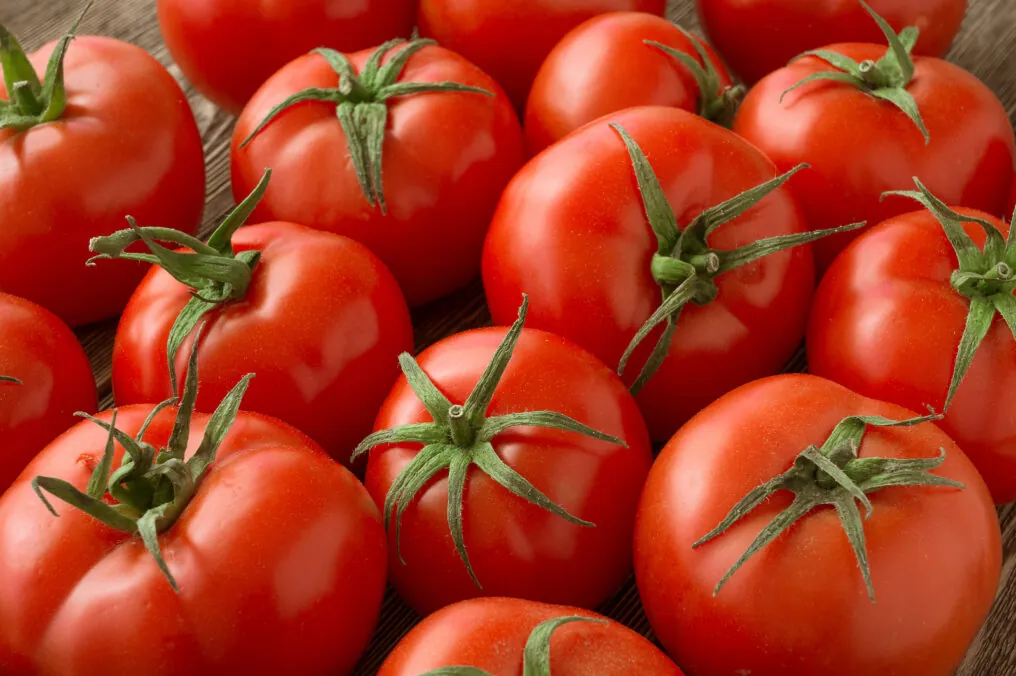 Did You Hear the One About the Banana and the Tomato?