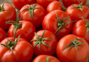 Time For Some Tomato Talk