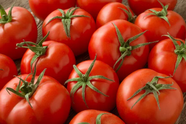 Time For Some Tomato Talk