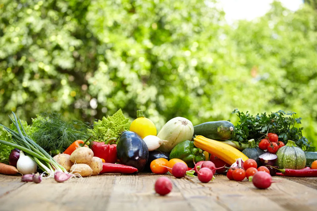 Arizona is your Fruit and Veggie Capitol of the Nation in Winter!
