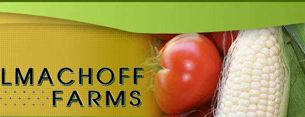 Tolmachoff Farms is Offering AZ Locals an Opportunity to Pick Their Own Produce off the Farm