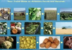 Travel Guide to Arizona’s Farms and Ranches