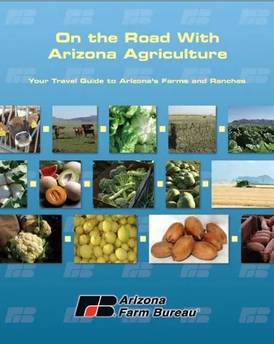 Arizona Pumpkins are Perfect for the Holidays!