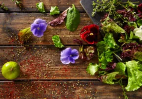 The Incredible, Edible Flower?