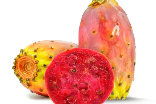 Prickly Pear Festival this Saturday, August 22nd!