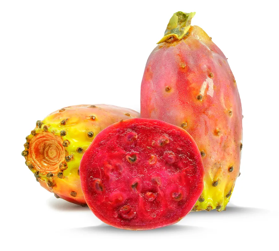 Prickly Pear Festival