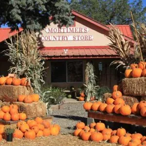 Photo Credit: Mortimer Family Farms