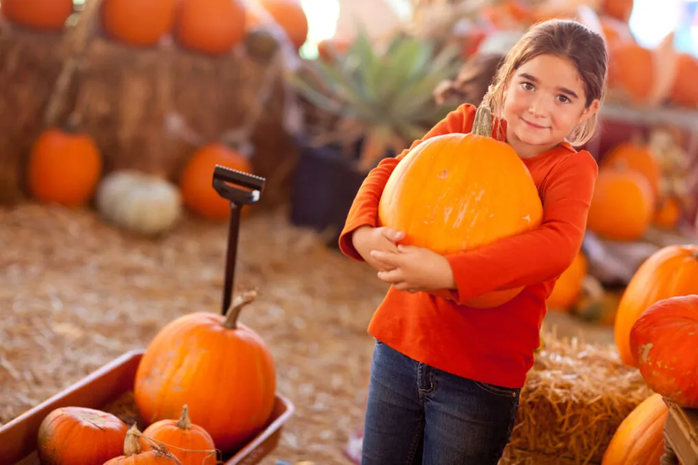 It’s Pumpkin Season!