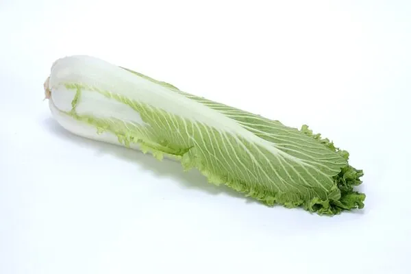 25 Ways to Eat Bok Choy