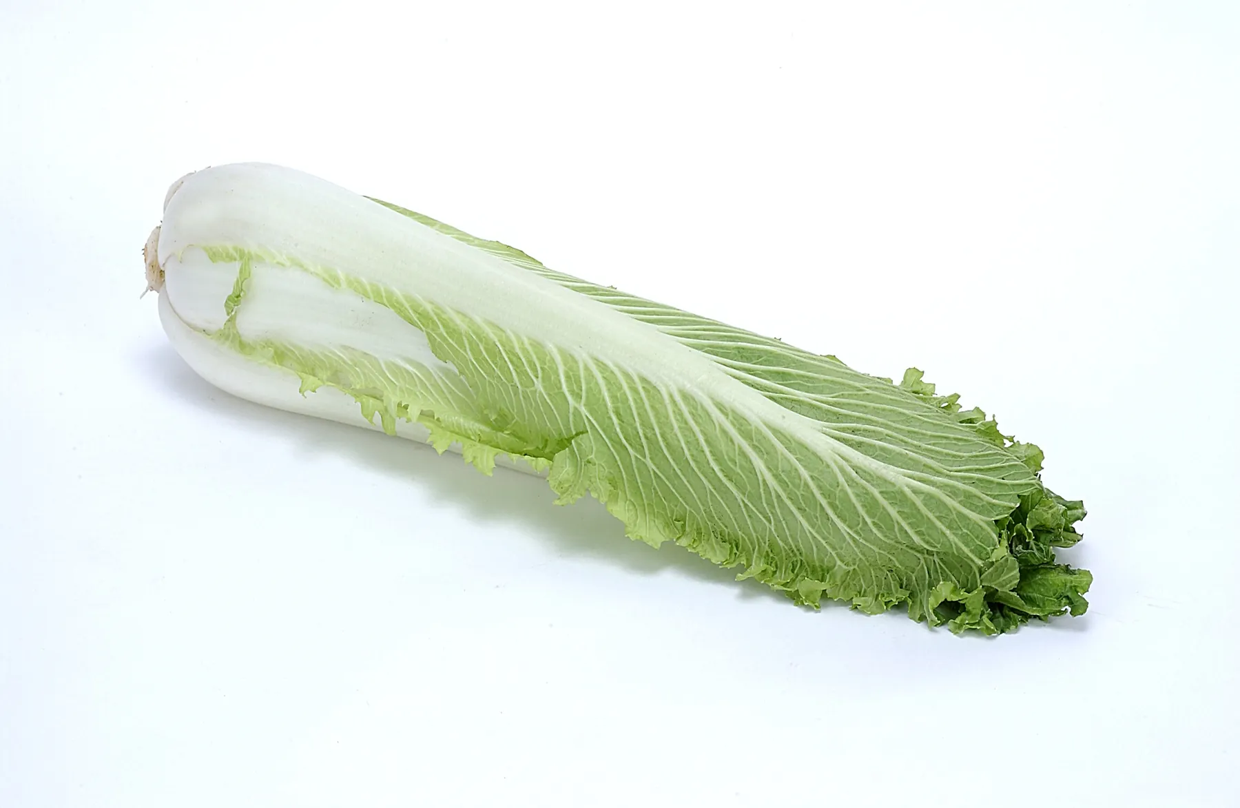 bok choy