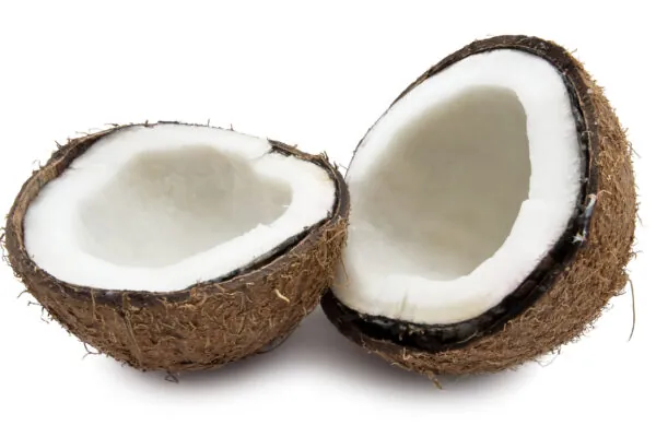 4 Cool Coconut Products You Need in Your Life