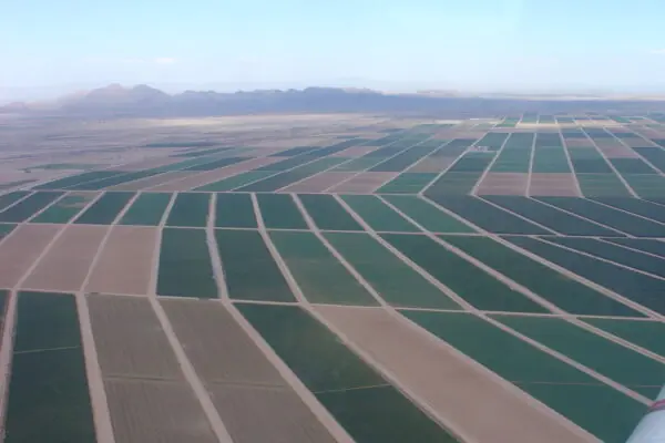 We Grow More with Less Out West!