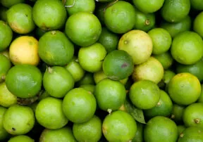 Krazy about Key Limes