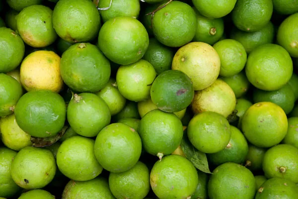 Krazy about Key Limes