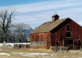 Farming Family Holiday Traditions