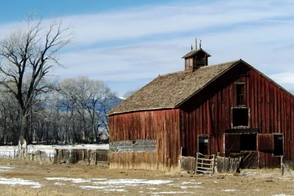 Farming Family Holiday Traditions