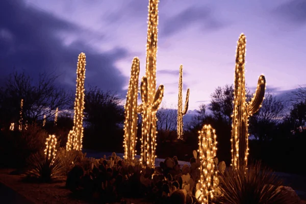 A Foodie’s Guide to the Winter Holidays