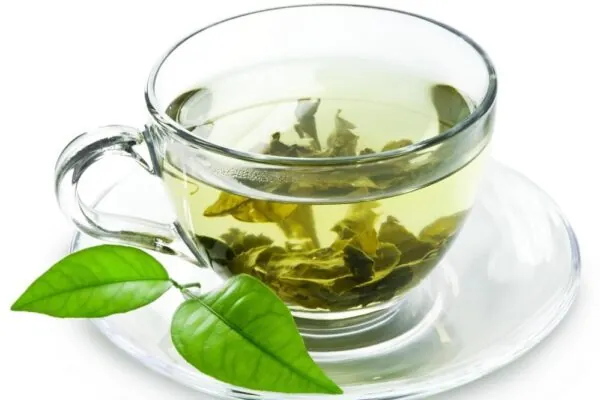 Study: Green Tea is Good for Your Gut!