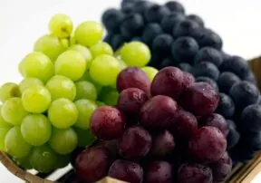 Glorious Grapes