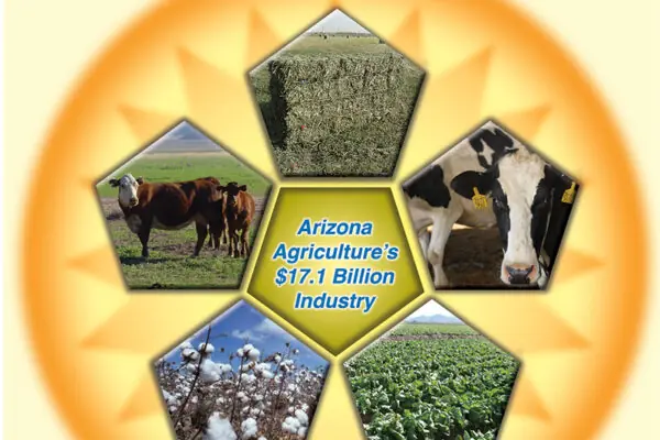 Arizona Agriculture is a $17 Billion Industry