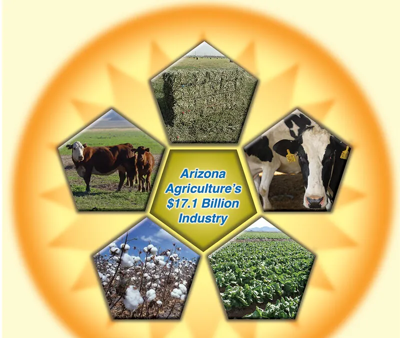 Arizona Agriculture is a $17 Billion Industry