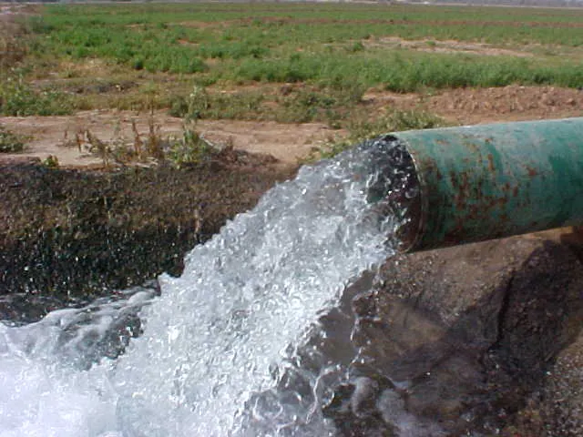 Arizona Agriculture Uses Water So You Can Eat!