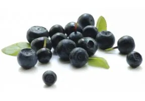 Get to Know the Acai Berry