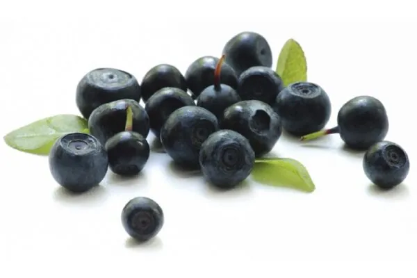 Get to Know the Acai Berry