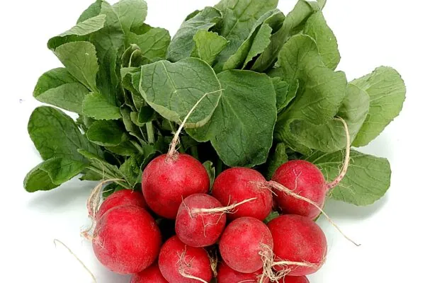 What’s In Season in Spring?