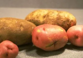 A Dietician’s Perspective on Potatoes
