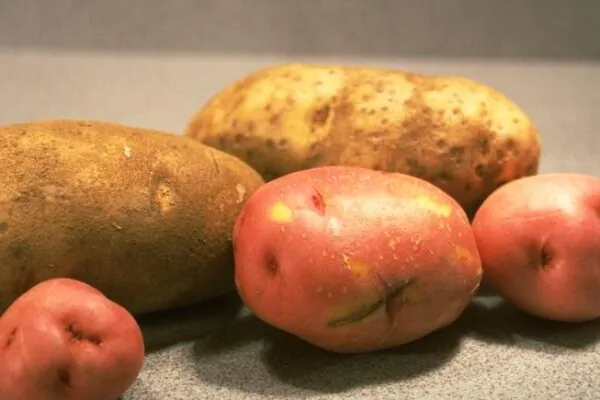 A Dietician’s Perspective on Potatoes