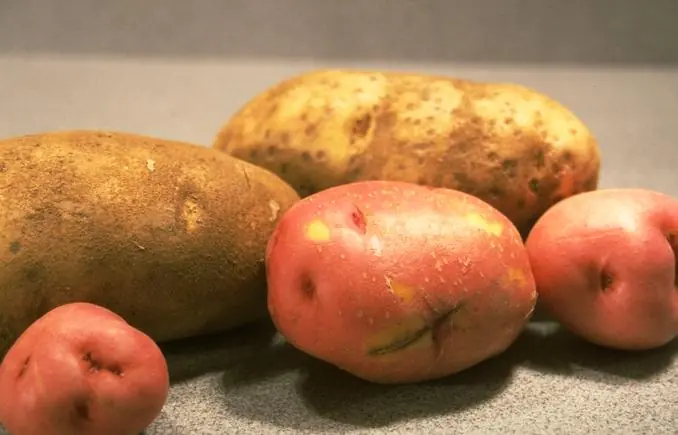Arizona Agriculture is No Small Potatoes!