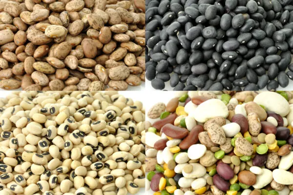 Eat Beans and Live Longer?
