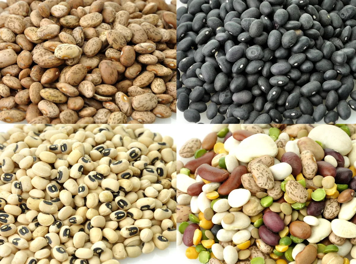 Assortment Of Raw Beans On White Background