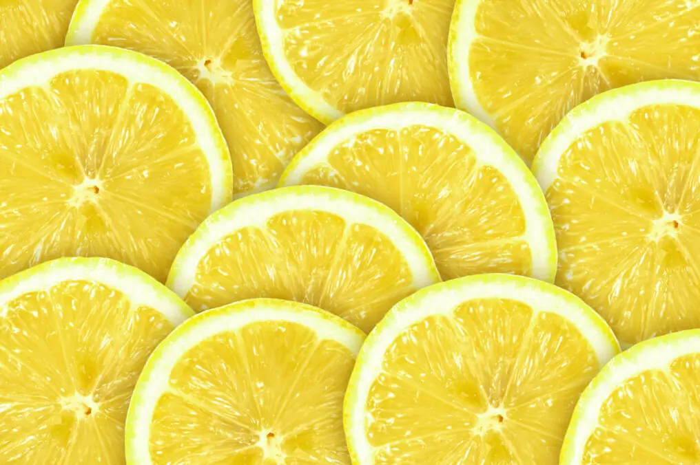 National Lemonade Day is August the 20th.