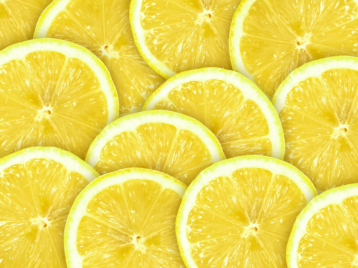 Abstract background with citrus-fruit of lemon slices. Close-up. Studio photography.