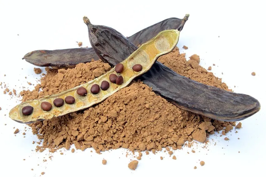 carob