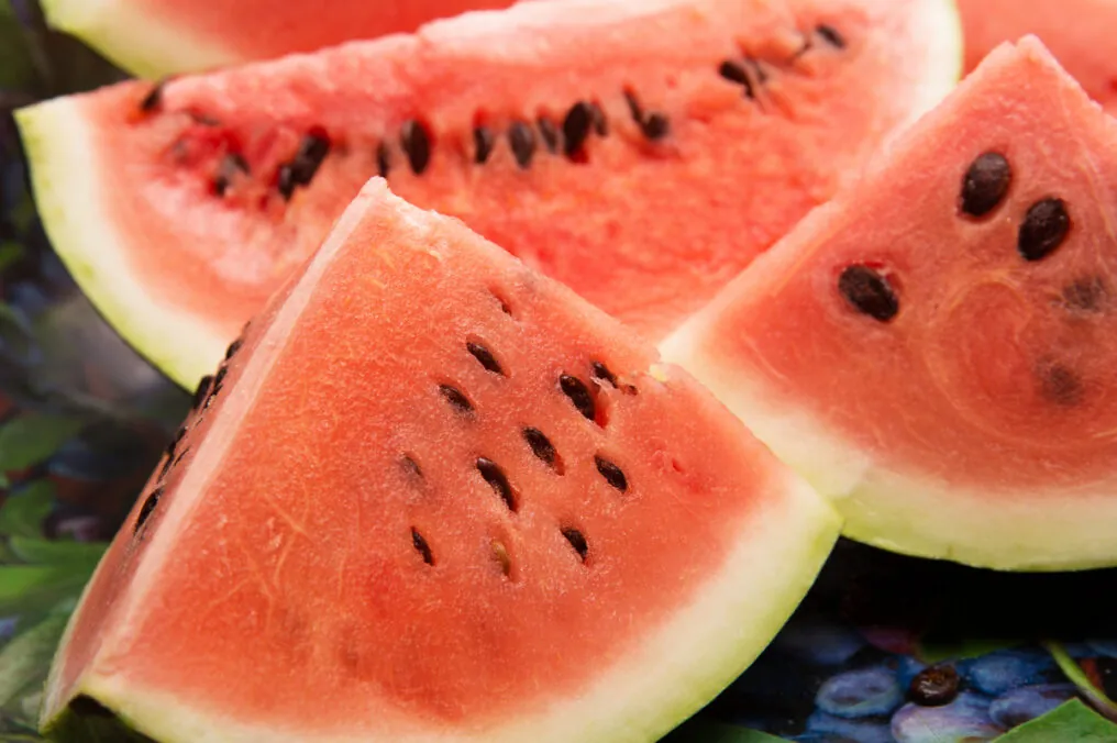 It’s Melon Season in Arizona!