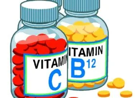 The Discovery of the Vitamin Folate