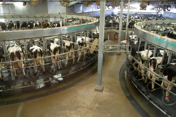 Arizona Agriculture Grows More with Less!