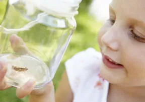 Culinary Creepy-Crawlies