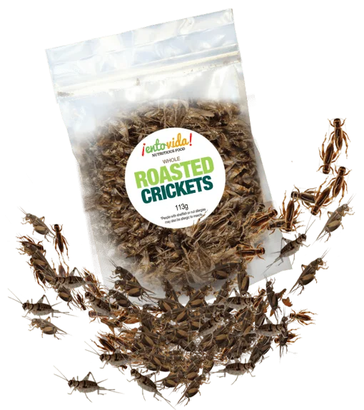 Roasted_Crickets-510x574