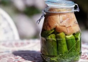 Funky Fermented Foods