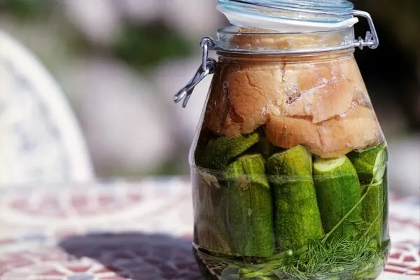 Funky Fermented Foods