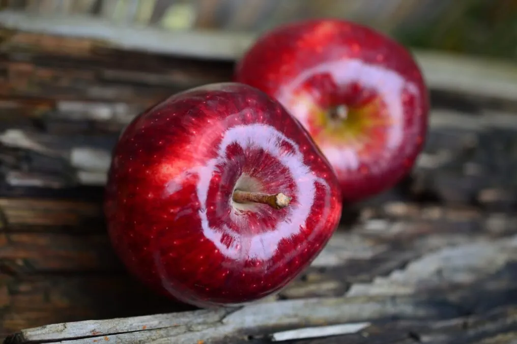 Crispy Arizona Apples Will Wake You Up in the Morning!