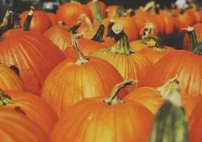 Ode to the Pumpkin
