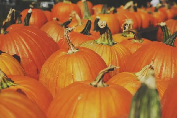 Ode to the Pumpkin