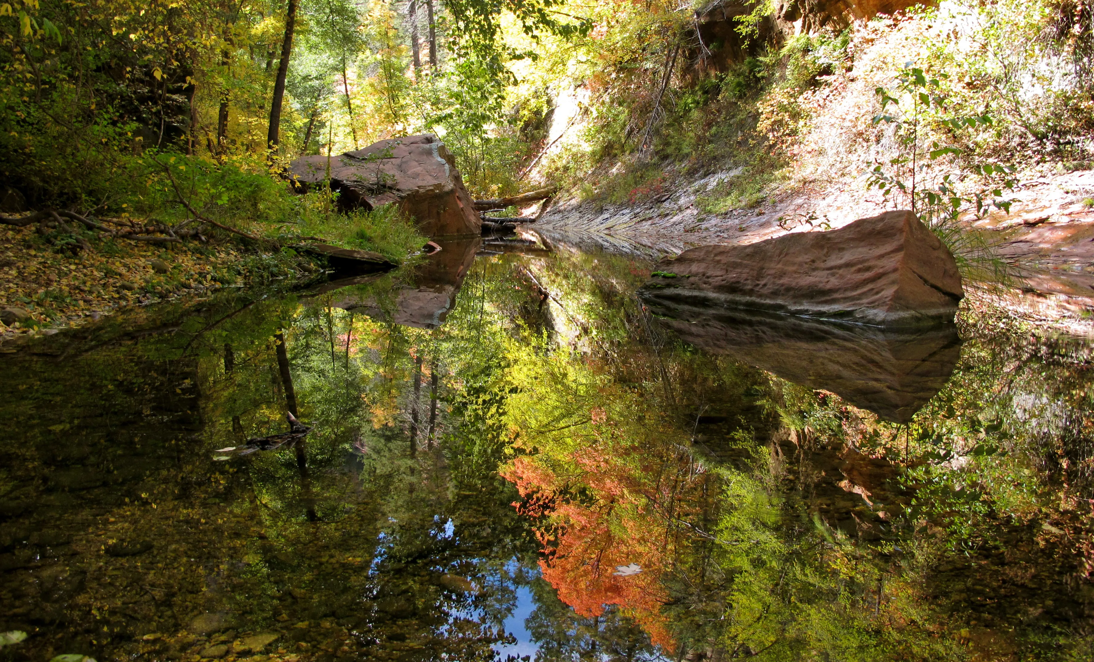 west_fork_of_oak_creek_reflections