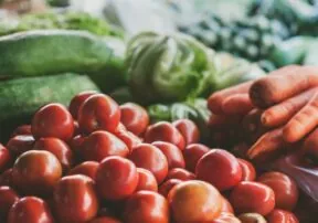 Edible Gardens